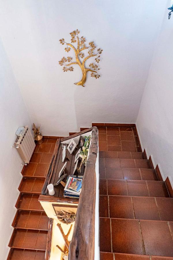 Sa Domu Sarda Suites - Bed & Breakfast Porto Columbu - Perd'E Sali Zewnętrze zdjęcie